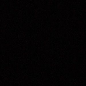 Meet your Posher, Caryn